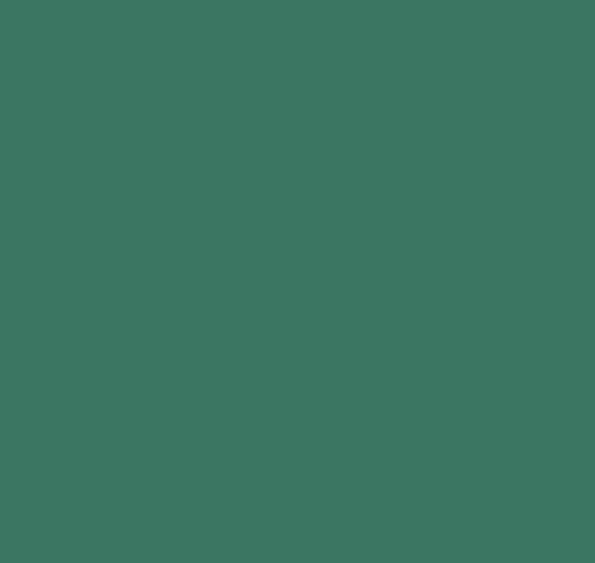 Hunter Green PowSocx™