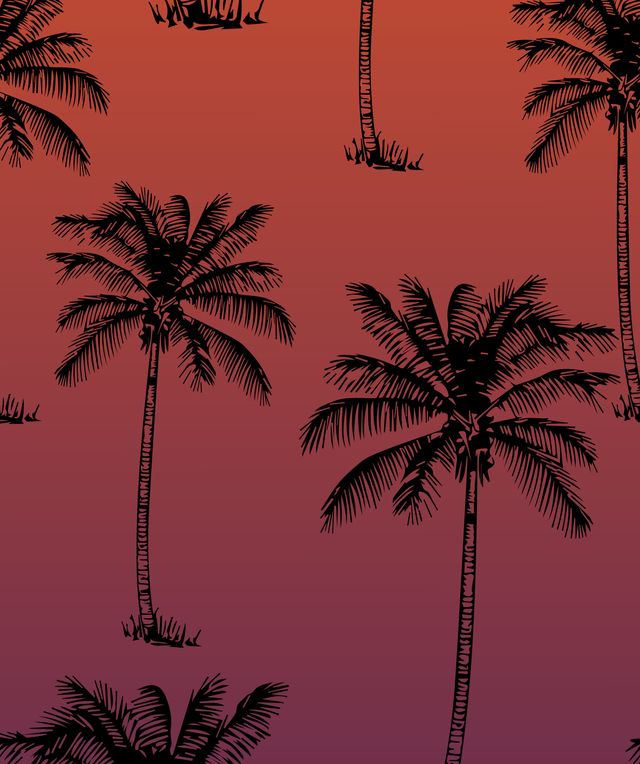 Sunset Palms ShowSocx