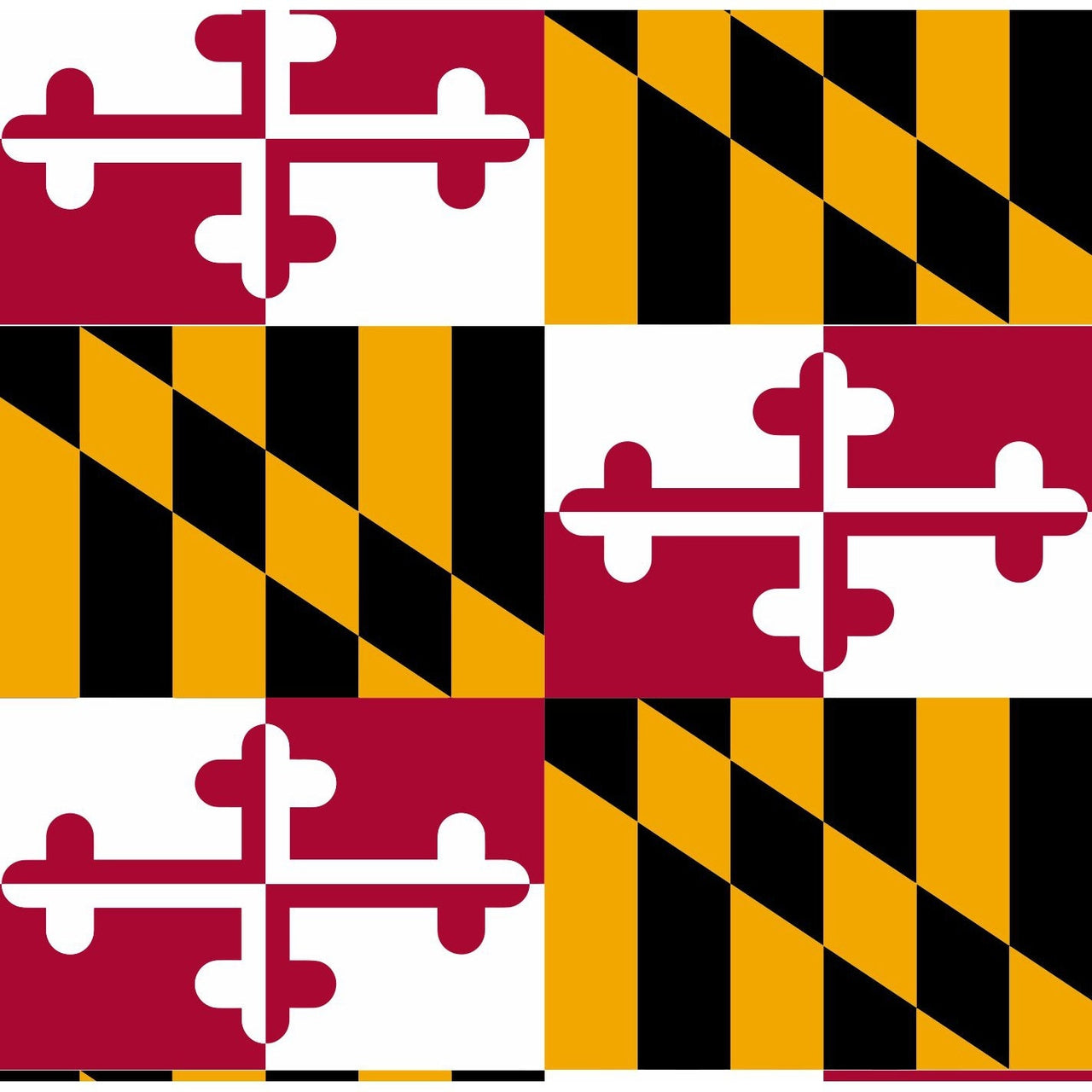 Maryland Flag Socks - Hocsocx Inc