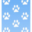 Blue Paws Socks - Hocsocx Inc
