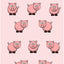 Pig Socks - Hocsocx Inc