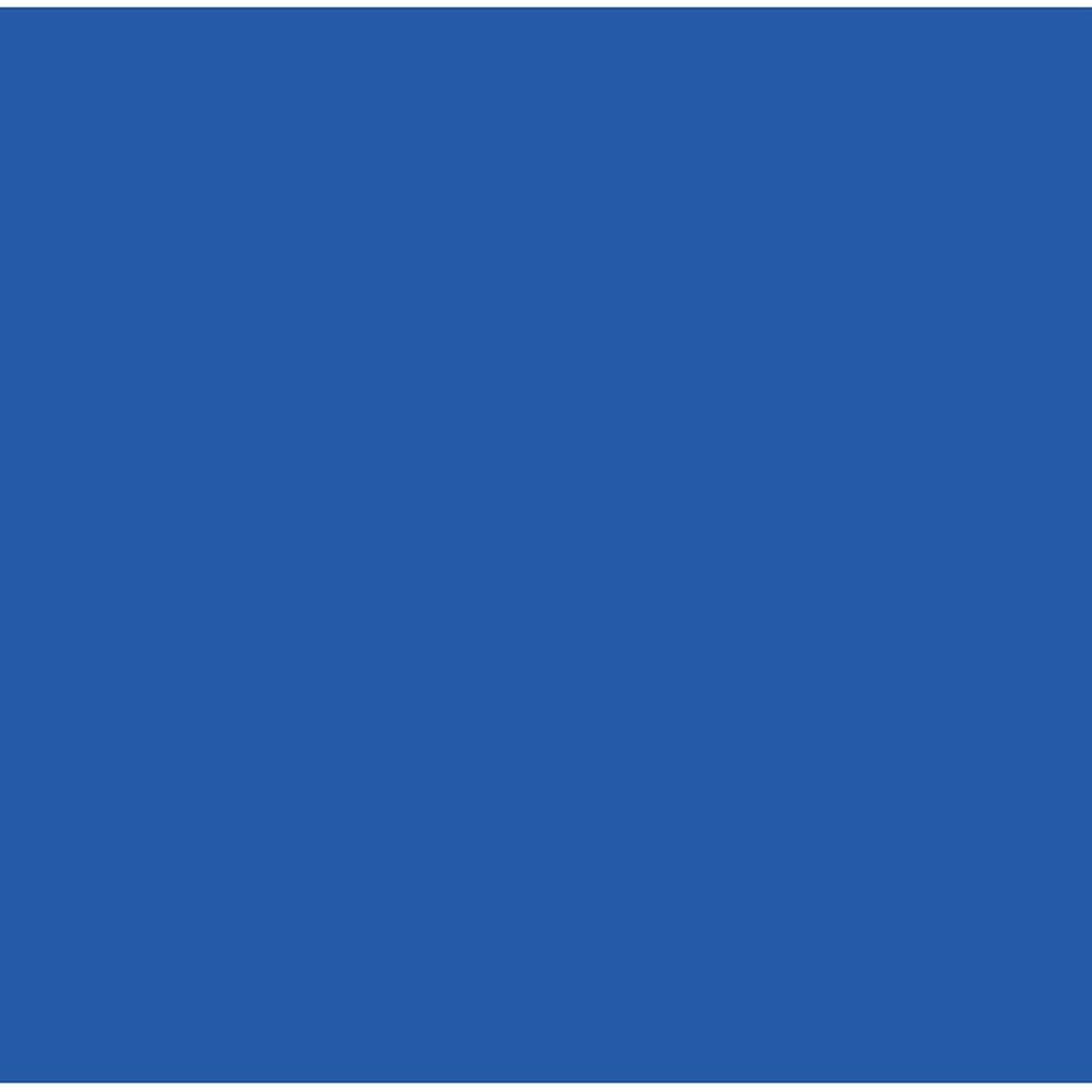 Royal Blue Socks - Hocsocx Inc