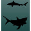 Shark Bait Socks - Hocsocx Inc